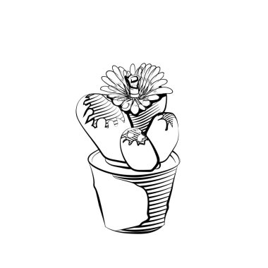 El bitki toprak kap içinde çekilmiş. Siyah ve beyaz eskiz. Ev dekorasyonu unsuru. Büyüme ve ekoloji sembolü.