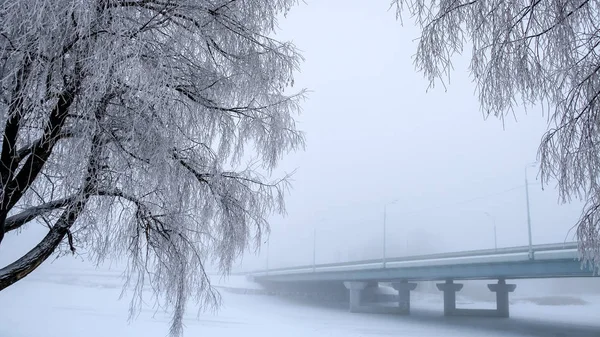 The trees covered with frost. The bridge in the fog in the background.
