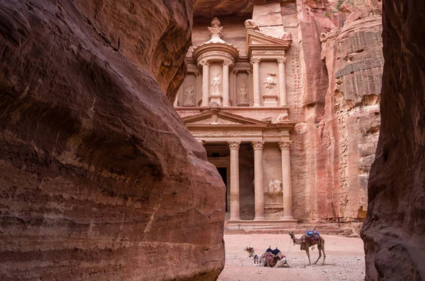 Ancien temple nabatéen Al Khazneh (Trésor) situé à Rose City - Petra, Jordanie. Deux chameaux devant l'entrée. Vue depuis le canyon Siq . — Photo