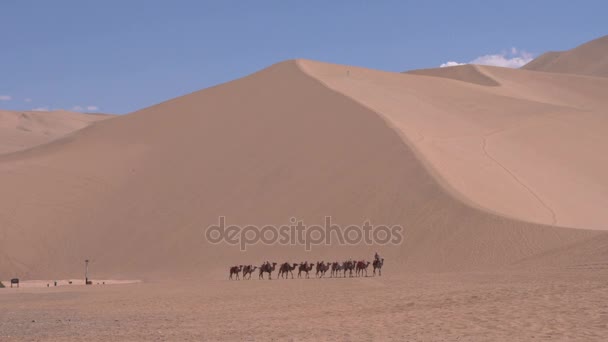 Caravana en el desierto — Vídeo de stock