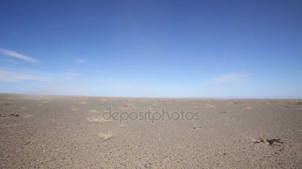 Panorama of the Mongolian landscape — Stock Video