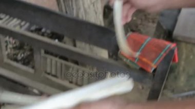 Şeker kamışı yemeden önce Temizleme