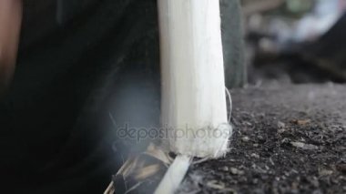 Şeker kamışı yemeden önce Temizleme