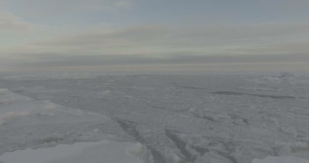 Vlucht over de Noordelijke IJszee — Stockvideo