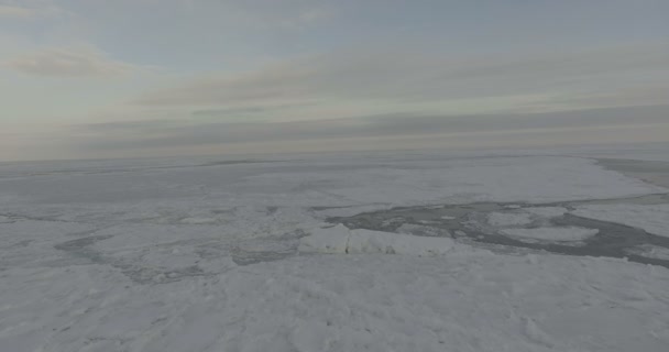 Vuelo sobre el Océano Ártico — Vídeo de stock