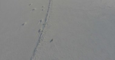 All - arazi araçları ile seyahat etmek Arktik Okyanusu arasında uçuyor