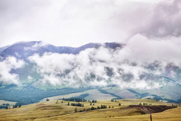 Un lugar muy hermoso en las montañas. Rusia. República de Altai —  Fotos de Stock