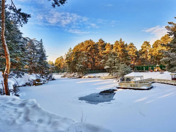 Chelyabinsk kış parkta. Rusya