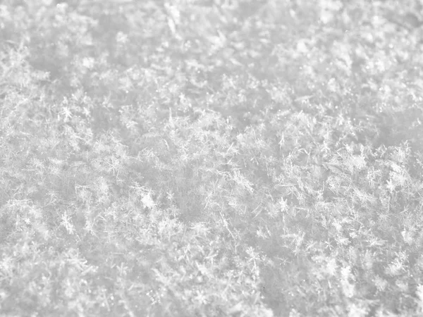 Υφή του λευκού χιονιού αφρώδη στον ήλιο — Φωτογραφία Αρχείου