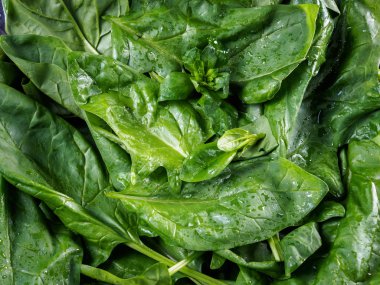 Kase üst görünümünde ıspanak yaprakları