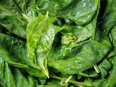 Kase üst görünümünde ıspanak yaprakları