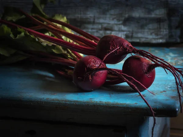 Wspólne buraków Organic Detox roślinnych zbliżenie — Zdjęcie stockowe