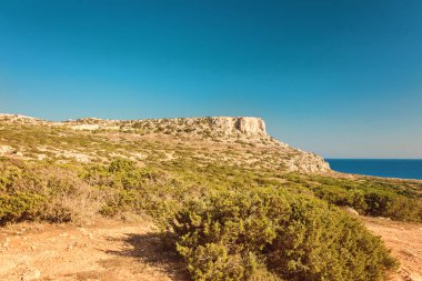 Kıbrıs Ayia Napa, Cape Greco Yarımadası, ulusal orman park