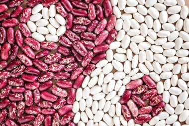 Yin Yan sembolü tahıl fasulye kuru kırmızı kağıt üzerinde beyaz