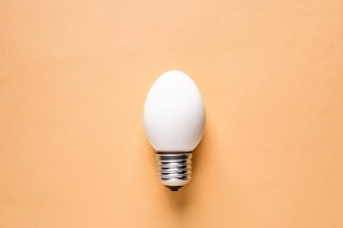 Ampul yumurta kabuğu Bankası kavram enerji tasarrufu.