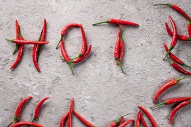 Arka plan tablo organik taze gıda kavramı tarım hasat Chili biber Yazıtı sıcak baharatlı baharat gri taş beton