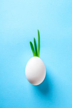 Yumurta kabuğu ve tüyler yeşil soğan imitasyon Fideler, mavi renkli arka plan kağıt üzerinde ananas meyve, yüzünde, Iroquois saç bırakır. Gıda kavramı en az