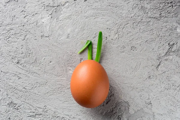 Shell Veren Groene Imitatie Konijn Bunny Grijze Stenen Achtergrond Voedsel — Stockfoto