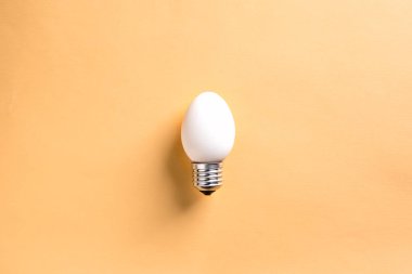 Ampul yumurta kabuğu üzerinde temel kavram enerji tasarrufu ekoloji doğal enerji kaynakları koruma doğal kaynaklar