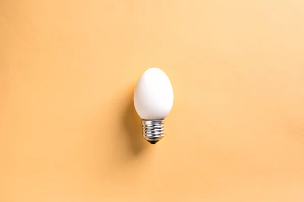 Ampul yumurta kabuğu üzerinde temel kavram enerji tasarrufu ekoloji doğal enerji kaynakları koruma doğal kaynaklar
