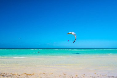 Cayo Guillermo, Küba - 25 Mart 2012: sporcular sörfçü dahil