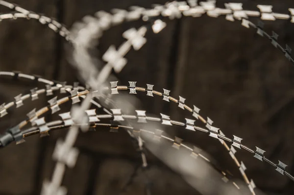 Razor wire fence — Stock Photo, Image