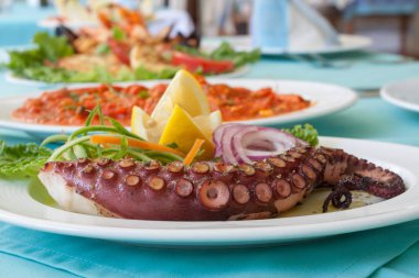 Yemek dokunaç ahtapot