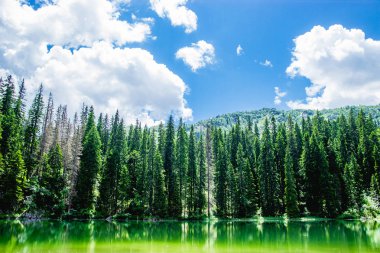 Yılan Gölü Durmitor