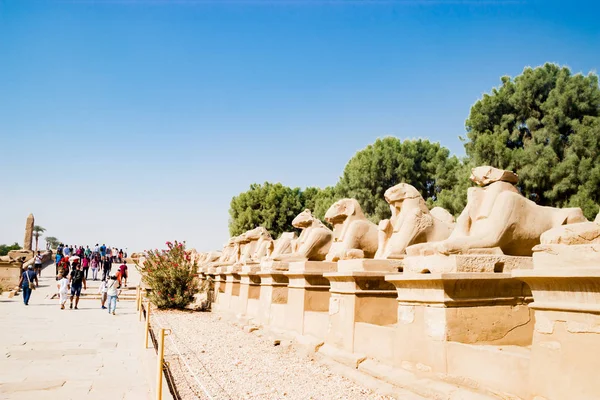 Avenida de Esfinges em Luxor, Egito — Fotografia de Stock
