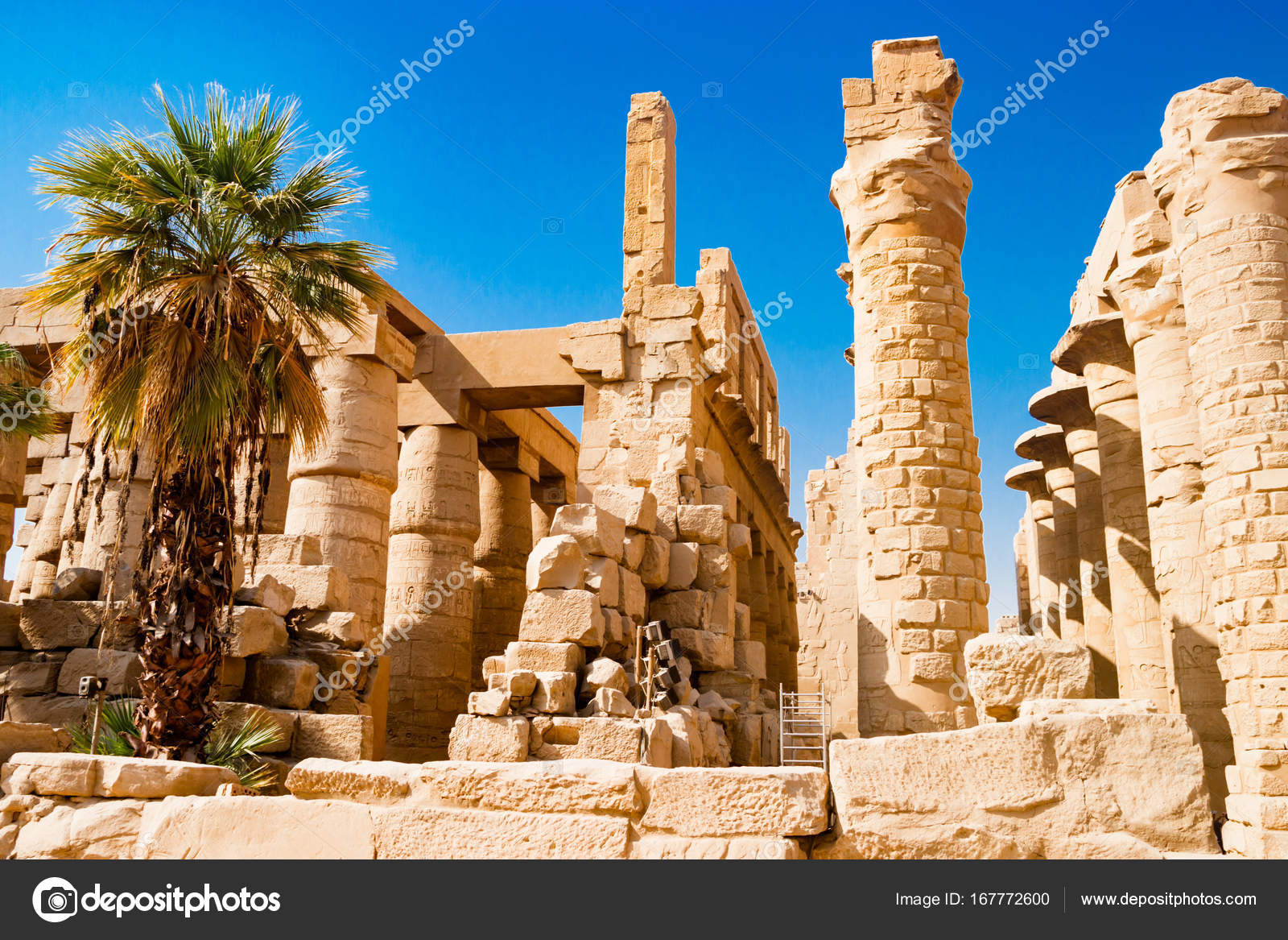 Palm Tree Near Egyptian Columns In Luxor Egypt Stock Photo Image By C Kulibabka