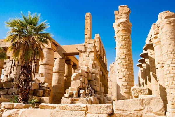 Palmiye ağacının yanında Mısır Luksor, Mısır sütunlarda