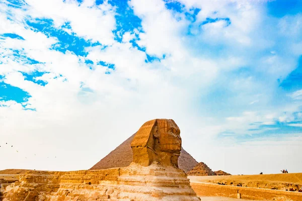 A esfinge no Cairo, Egito — Fotografia de Stock