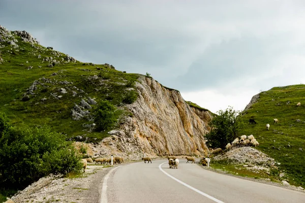 Karadağ'daki dolambaçlı yol