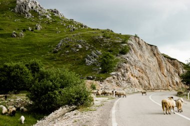 Yolun Karadağ