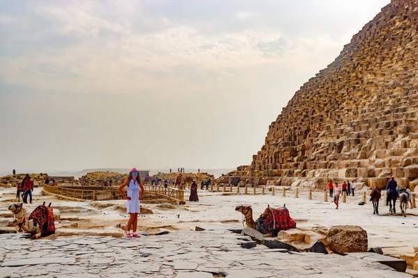 Menina perto de camelo e da pirâmide no Cairo, Egito — Fotografia de Stock