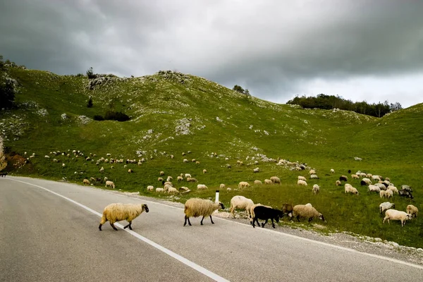 Karadağ'daki dolambaçlı yol