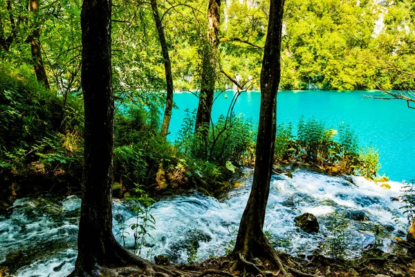 Luogo idilliaco nel Parco Nazionale in Croazia — Foto Stock