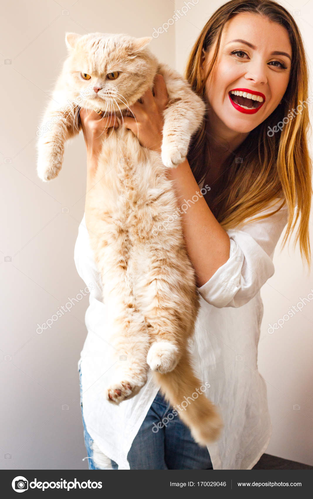Красивые картинки девушка и кот Красивые картинки девушка и кот