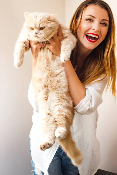 Menina bonita com um gato vermelho Fotos De Bancos De Imagens