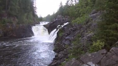 Rocky river ormandaki