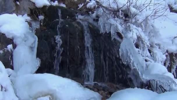 Cascade d'hiver couverte de neige et de givre — Video