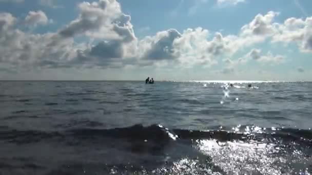 Badande i Krim havet på sommaren — Stockvideo