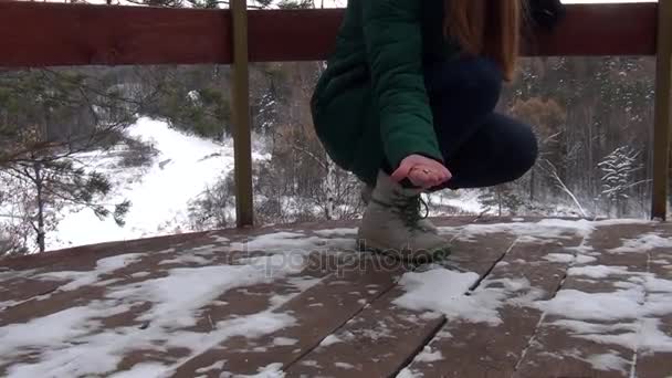 Vrouw voedt vogels uit haar hand — Stockvideo