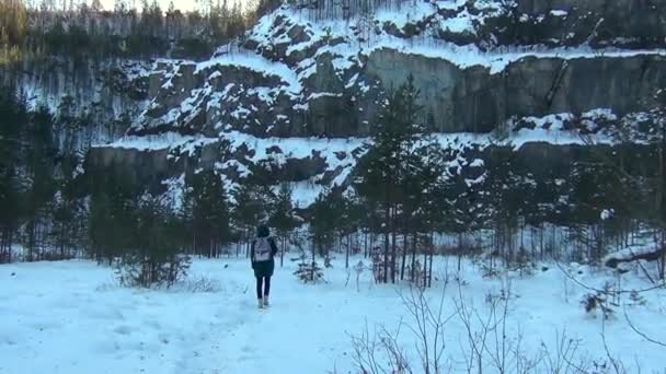 Дівчинка загубилася в зимовому лісі . — стокове відео