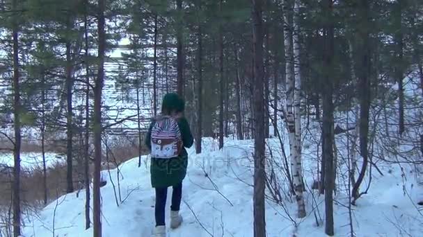 Tiener meisje wandelen in winter woud alleen, verloren. — Stockvideo