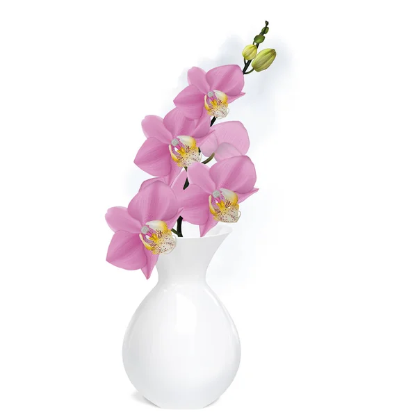 Rama de orquídeas con brotes en jarrón blanco. Vector ilustrador — Vector de stock