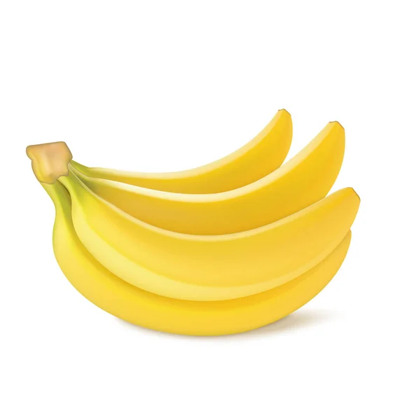 Kilka owoców świeżych bananów. Ilustracja wektorowa — Wektor stockowy
