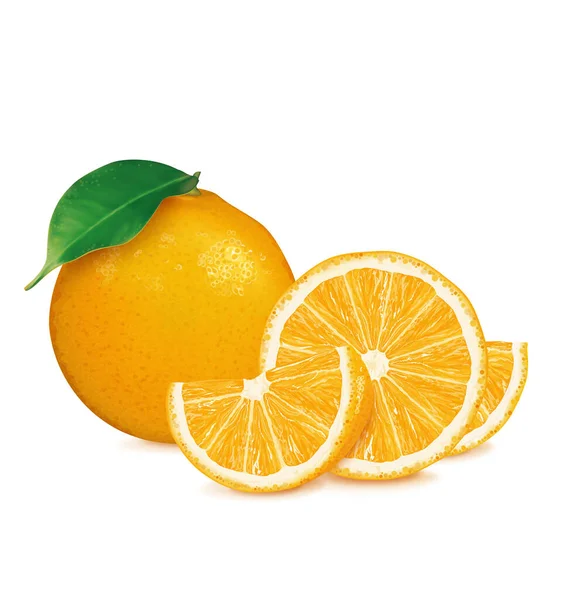 新鲜的橙子 叶子和切片 矢量说明 — 图库矢量图片