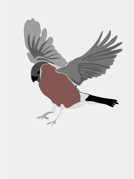 Vector bird illustration — Stock Vector