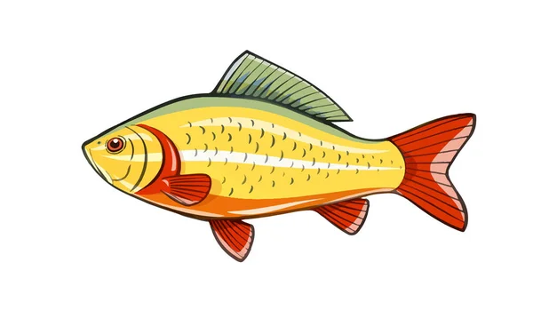 Fish Fishing River vector illustration — Stock Vector